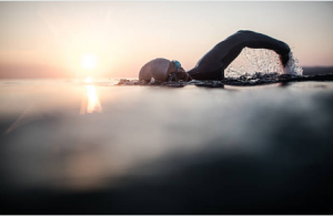 Natation